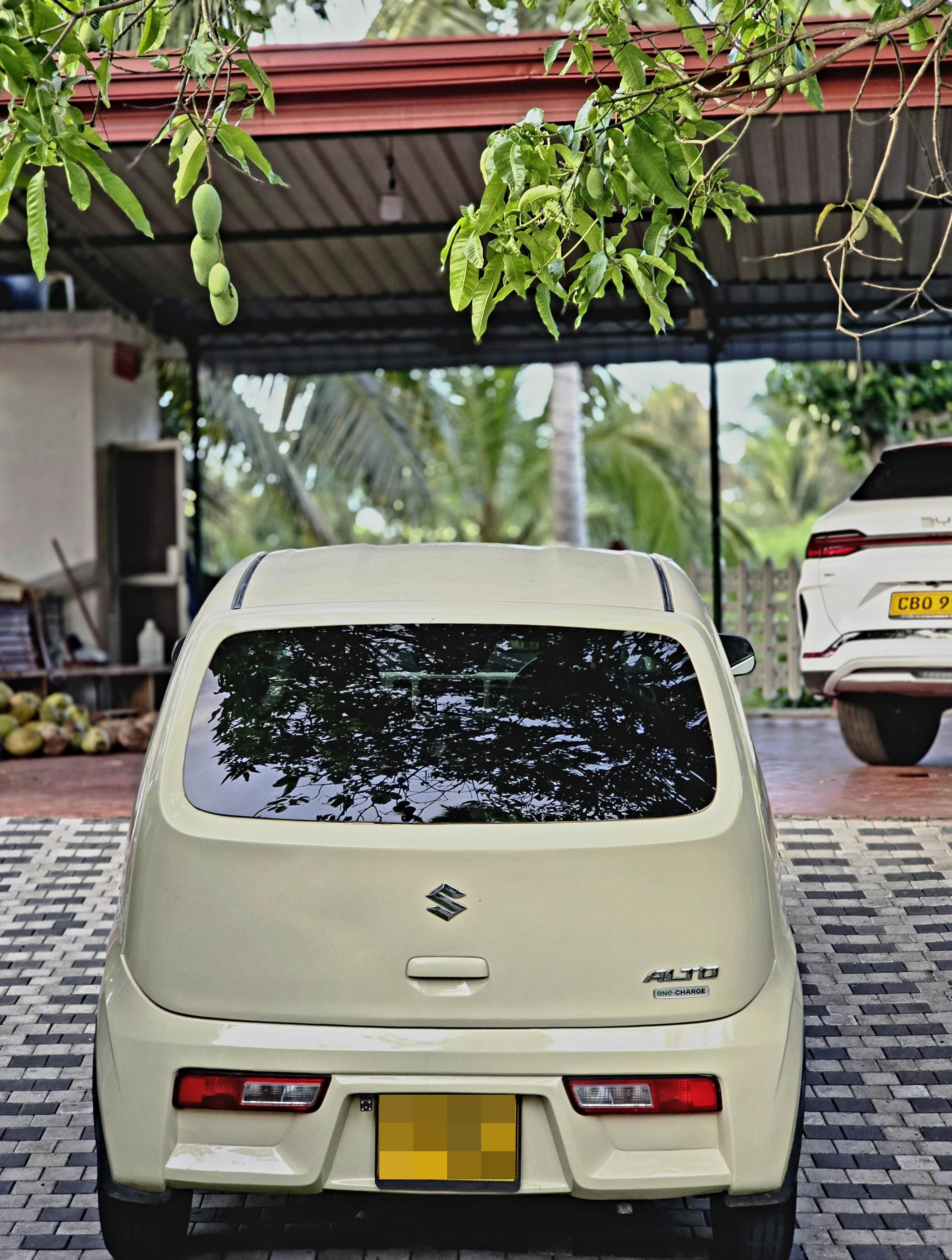 Suzuki Alto 2017 - Used Car sale in Sri Lanka - patpat.lk