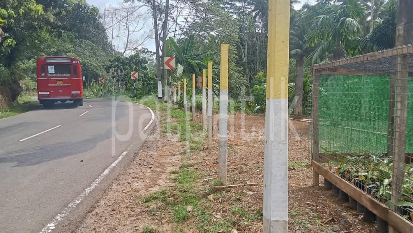 Agricultural Land for Sale in Deniyaya