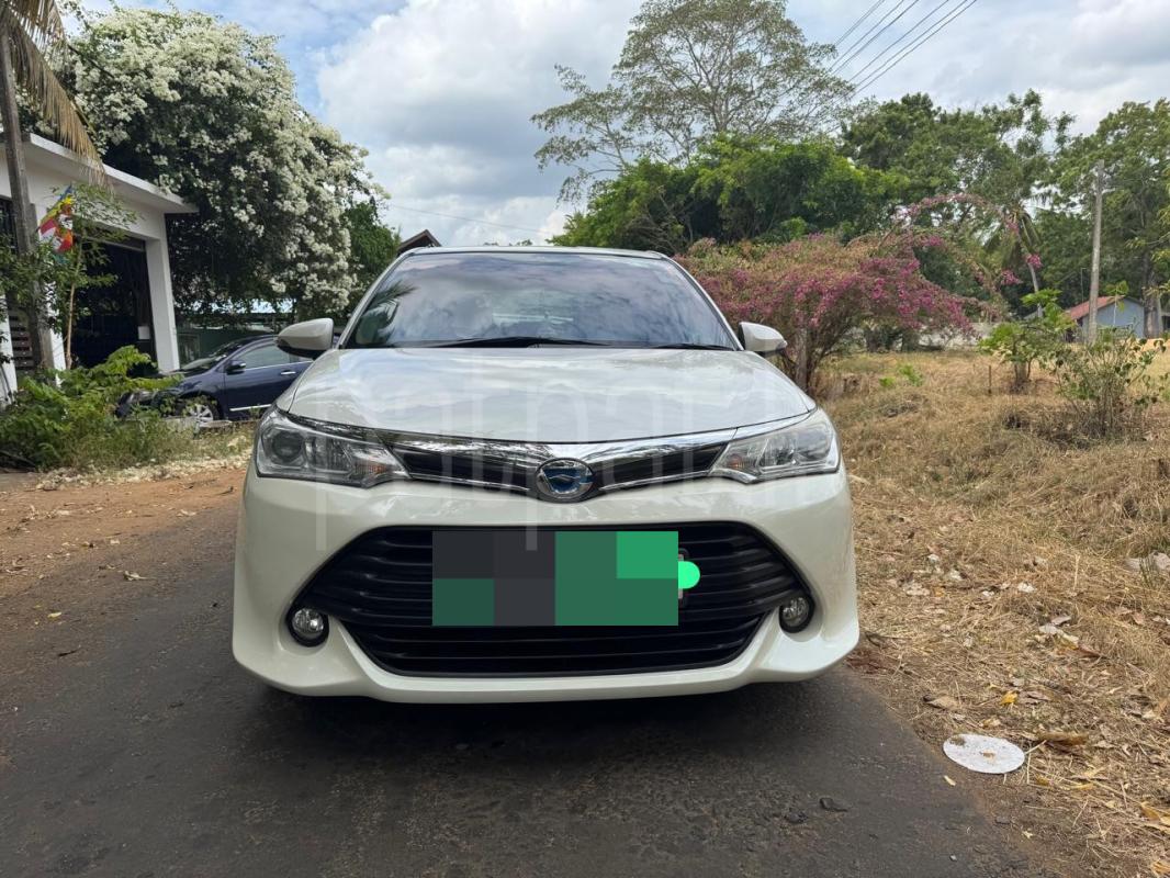 Advertisement image 1