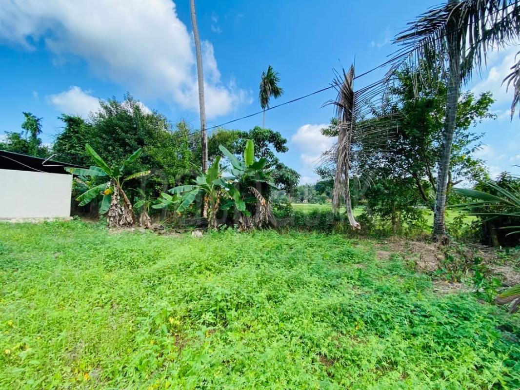 Residential Land for Sale in Meegoda ads-image-1
