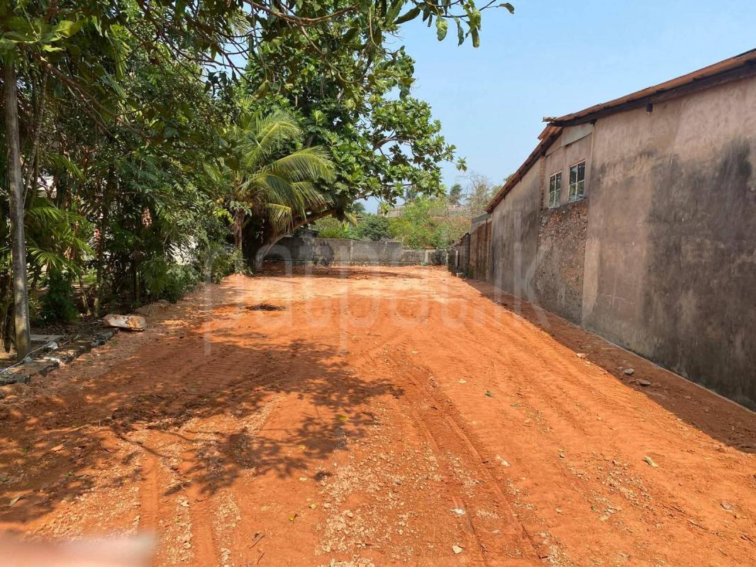 Agricultural Land for Sale in Mount Lavinia