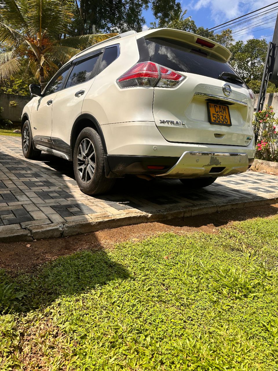 Advertisement image 3