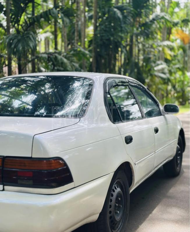 Toyota Corolla 1991 - භාවිතා කරන ලද කාර් sale in Sri Lanka - patpat.lk