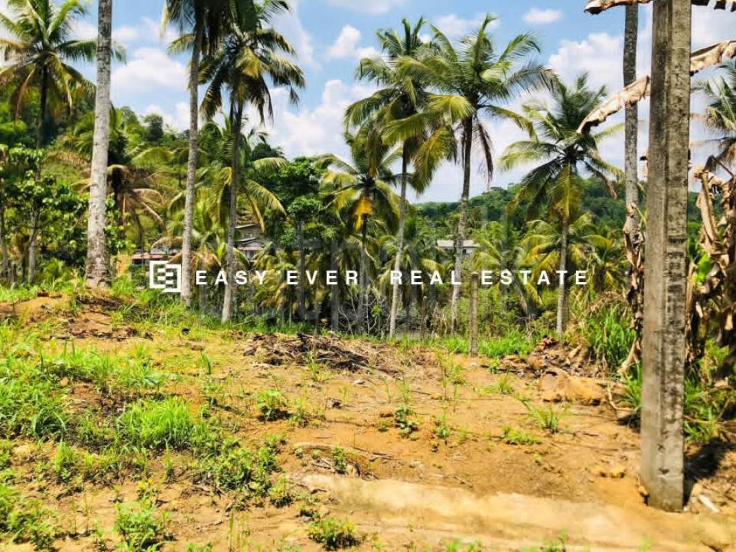Residential Land for Sale in Warakapola