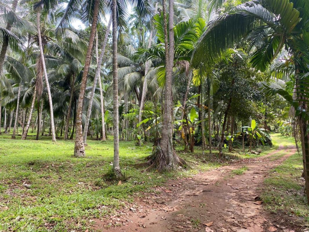 Residential Land for Sale in Delgoda