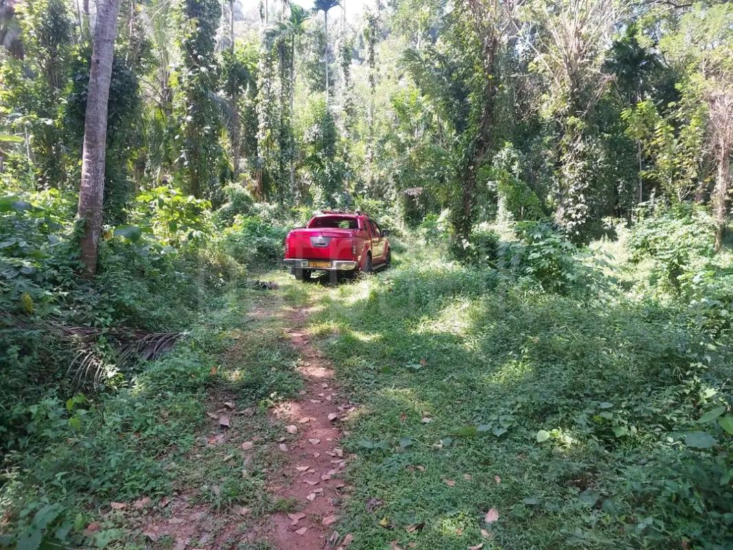 Agricultural Land for Sale in Kotmale