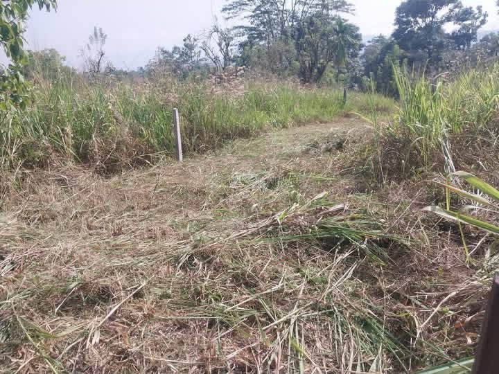 Residential Land for Sale in Gampola ads-image-1