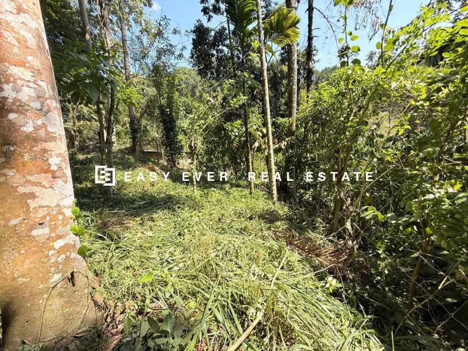 Residential Land for Sale in Nittambuwa