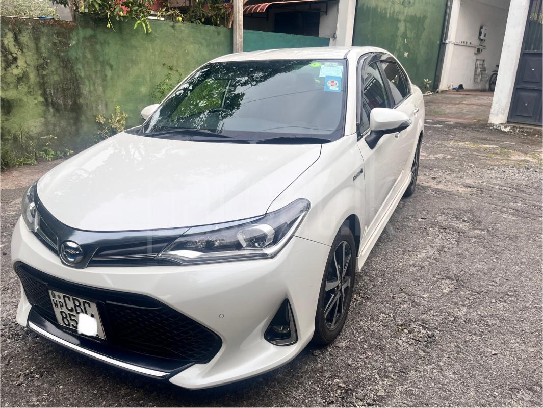 Advertisement image 1