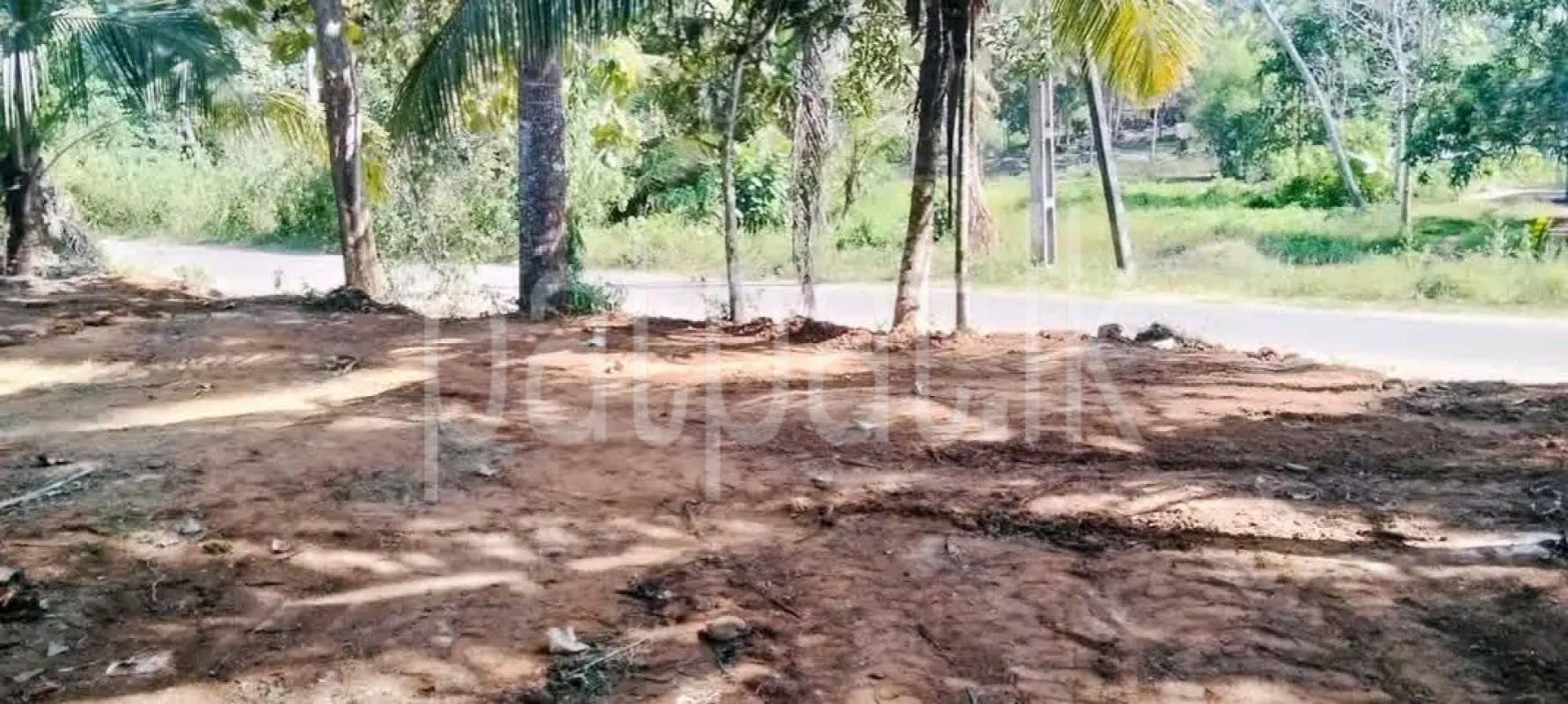 Residential Land for Sale in Veyangoda
