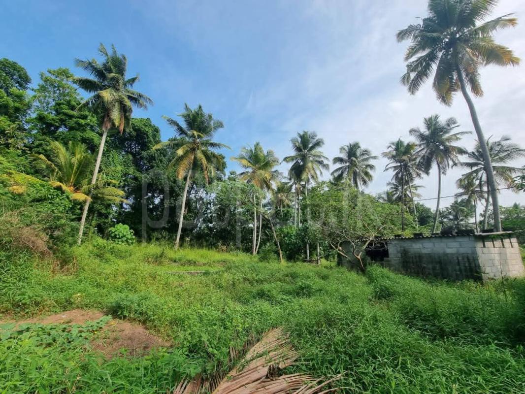 Residential Land for Sale in Veyangoda