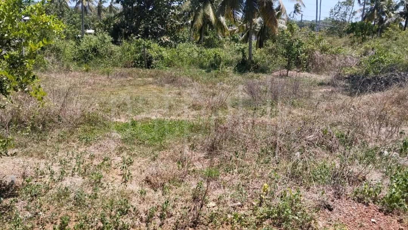 Agricultural Land for Sale in Maho ads-image-1