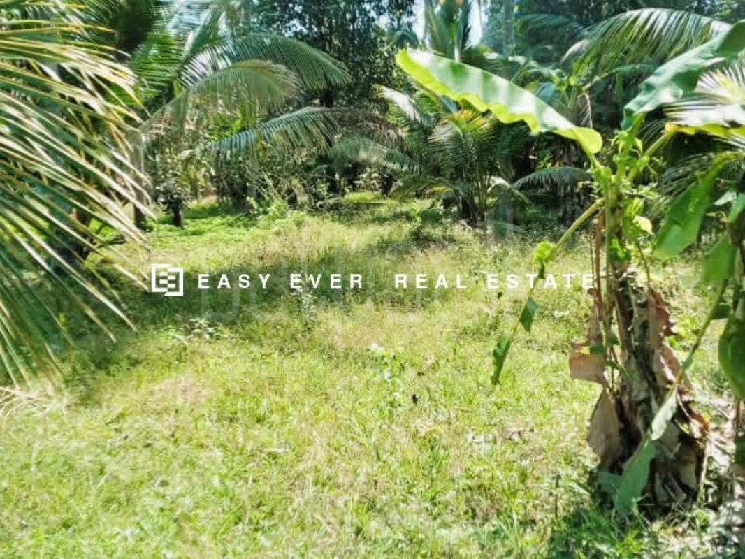 Agricultural Land for Sale in Gokaralla