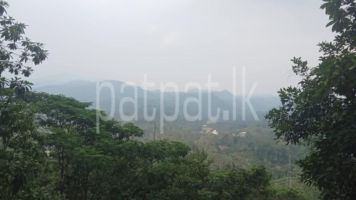 Agricultural Land for Sale in Deniyaya