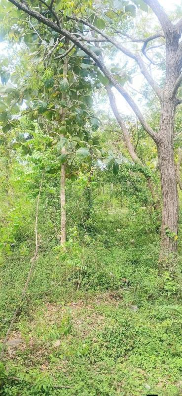 Residential Land for Sale in Kataragama