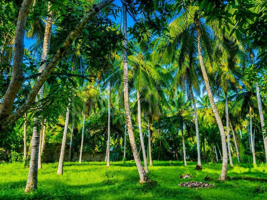Commercial Land for Sale in Kuliyapitiya ads-image-1