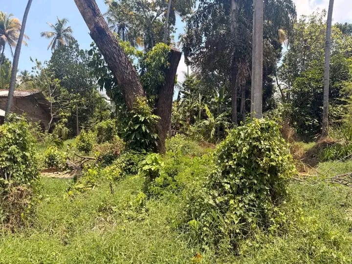 Commercial Land for Sale in Kurunegala ads-image-1