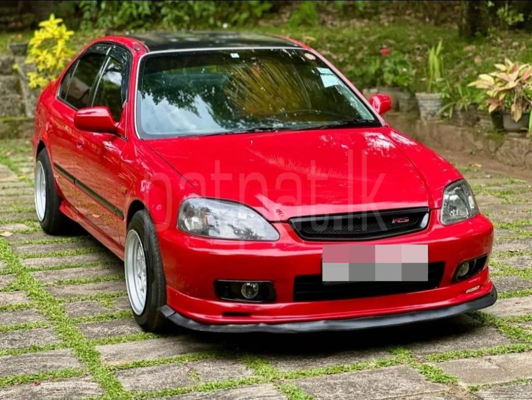 Advertisement image 4