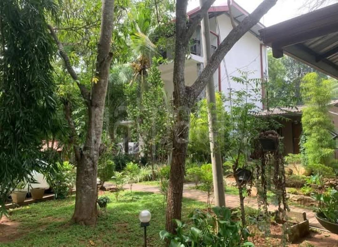 Hotel for Sale in Udawalawe