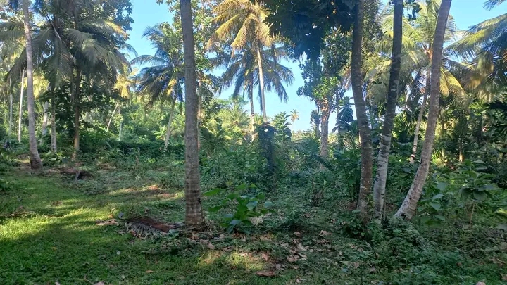 Residential Land for Sale in Tangalla