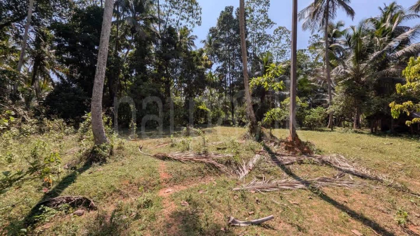 Residential Land for Sale in Mirigama