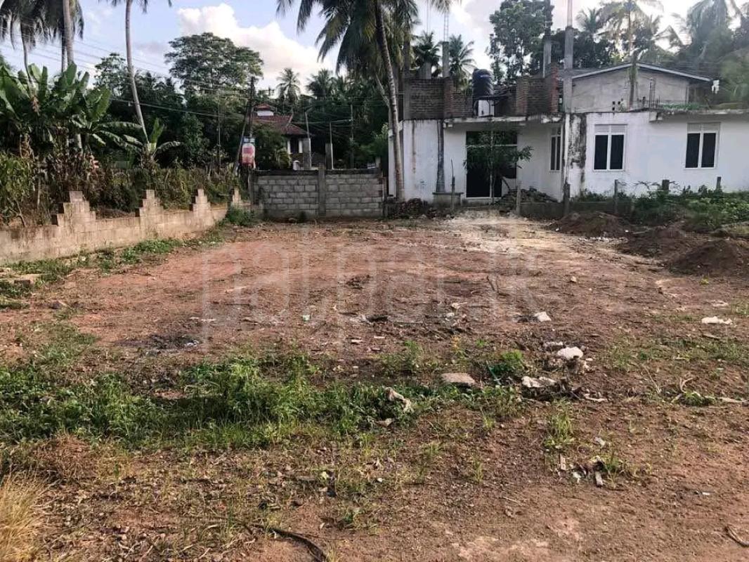 Agricultural Land for Sale in Ja-Ela