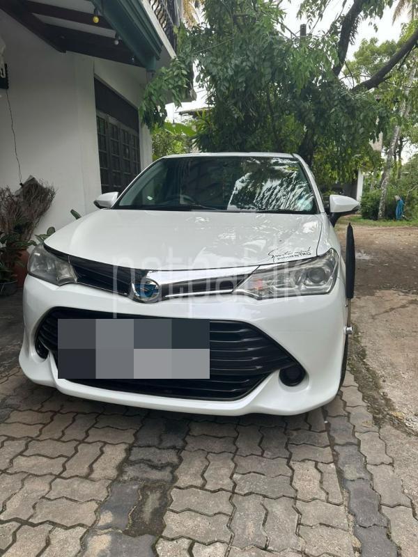 Advertisement image 1