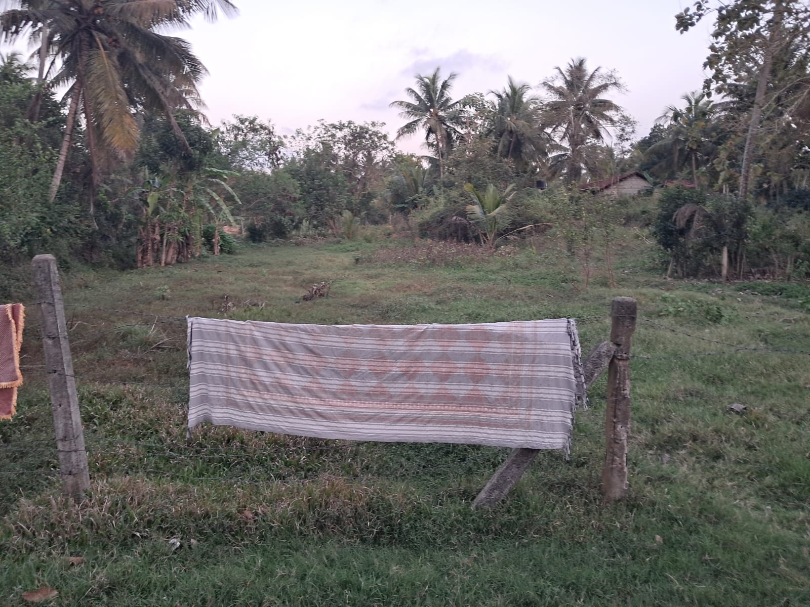 Residential Land for Sale in Hettipola