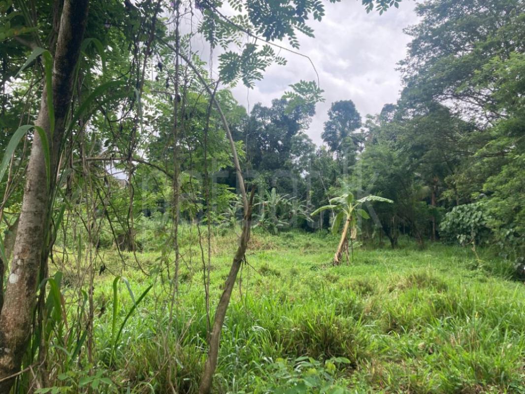 Agricultural Land for Sale in Gampola ads-image-1