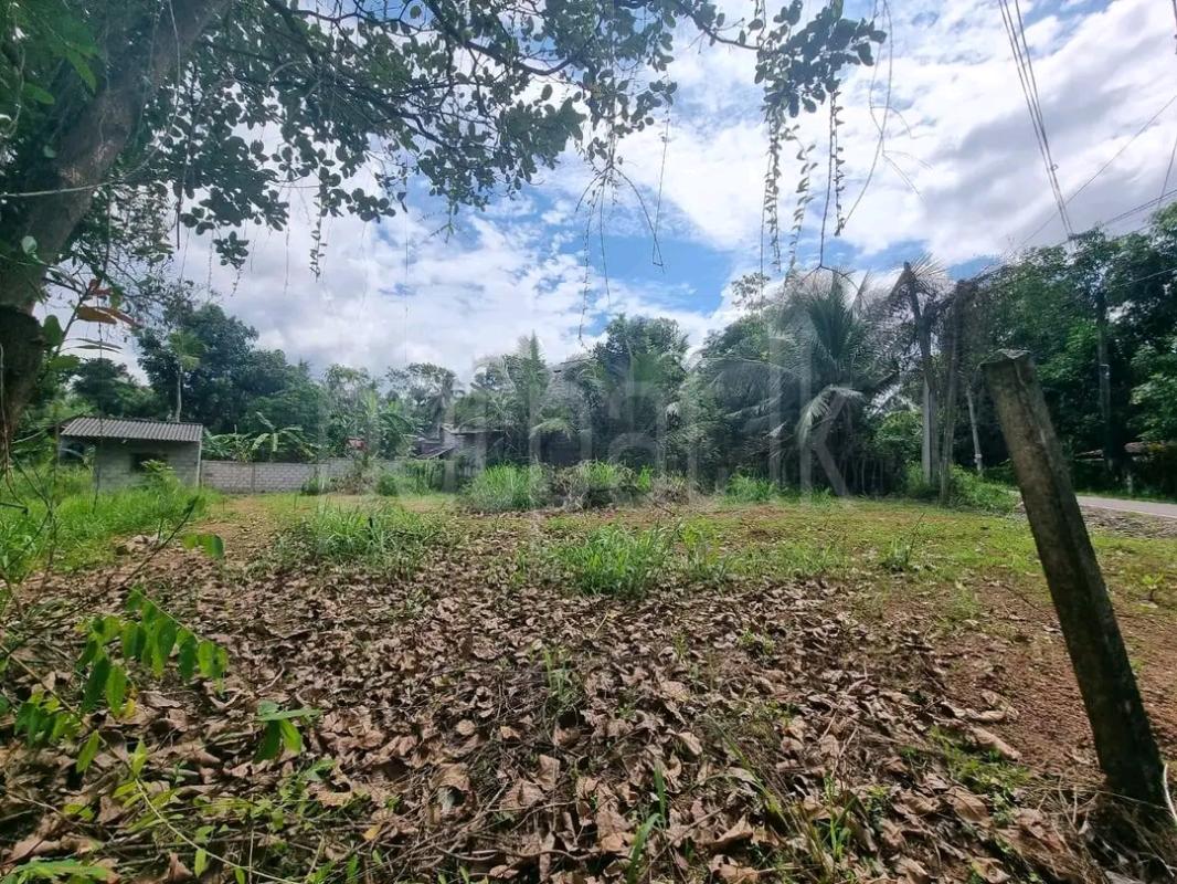 Agricultural Land for Sale in Hanwella