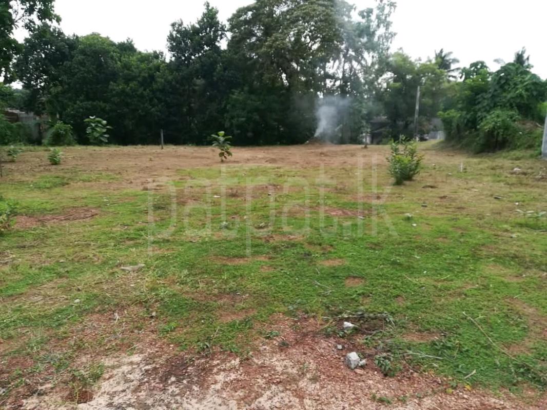 Residential Land for Sale in Padukka ads-image-1