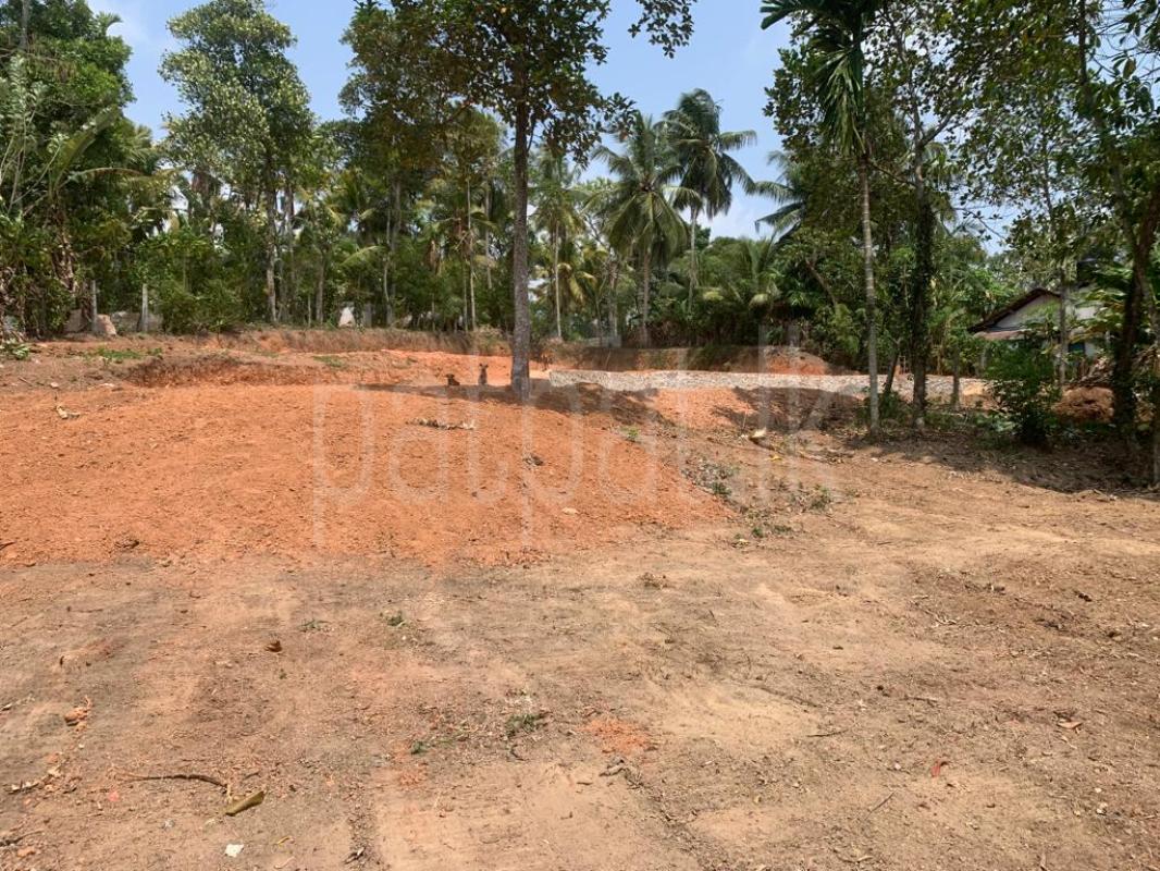 Residential Land for Sale in Ganemulla