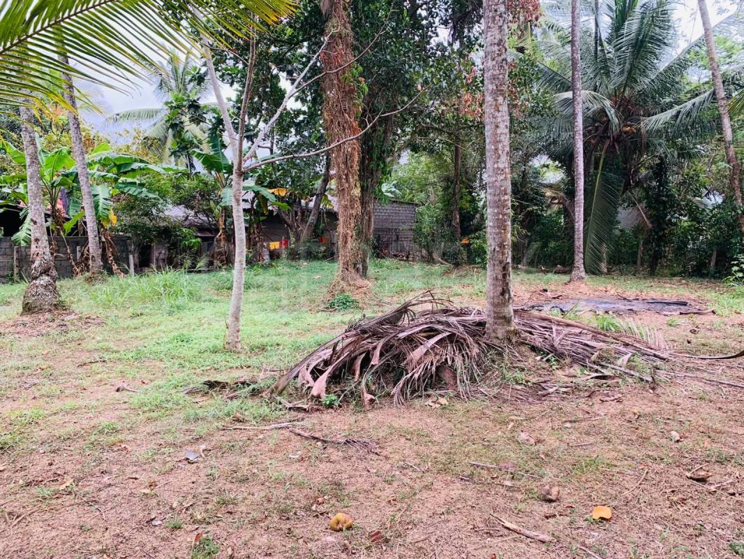 Agricultural Land for Sale in Kadawatha