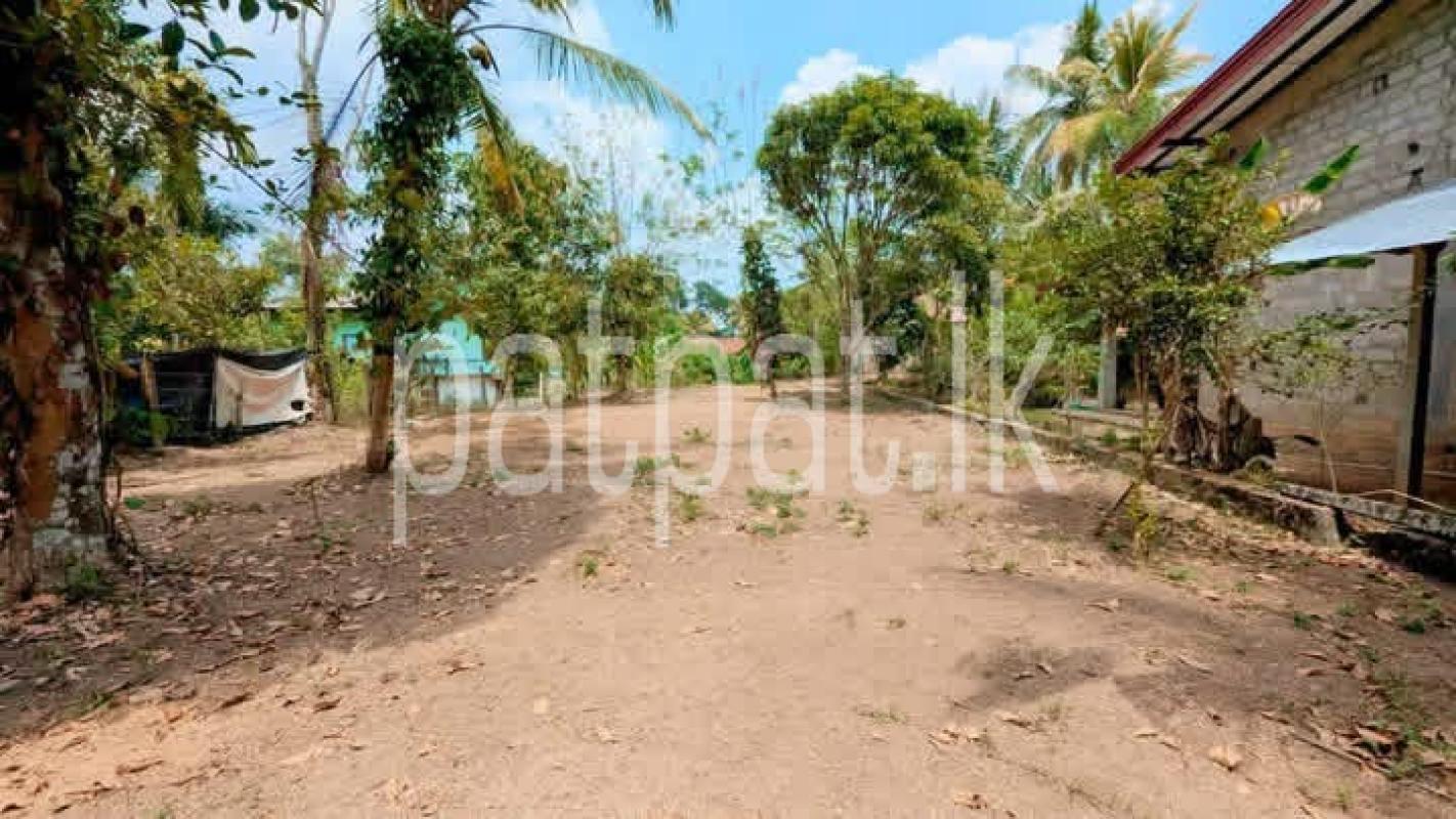 Residential Land for Sale in Kalagedihena