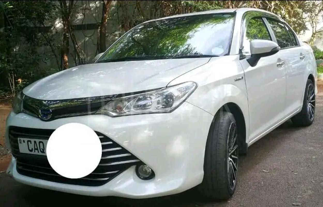 Advertisement image 3