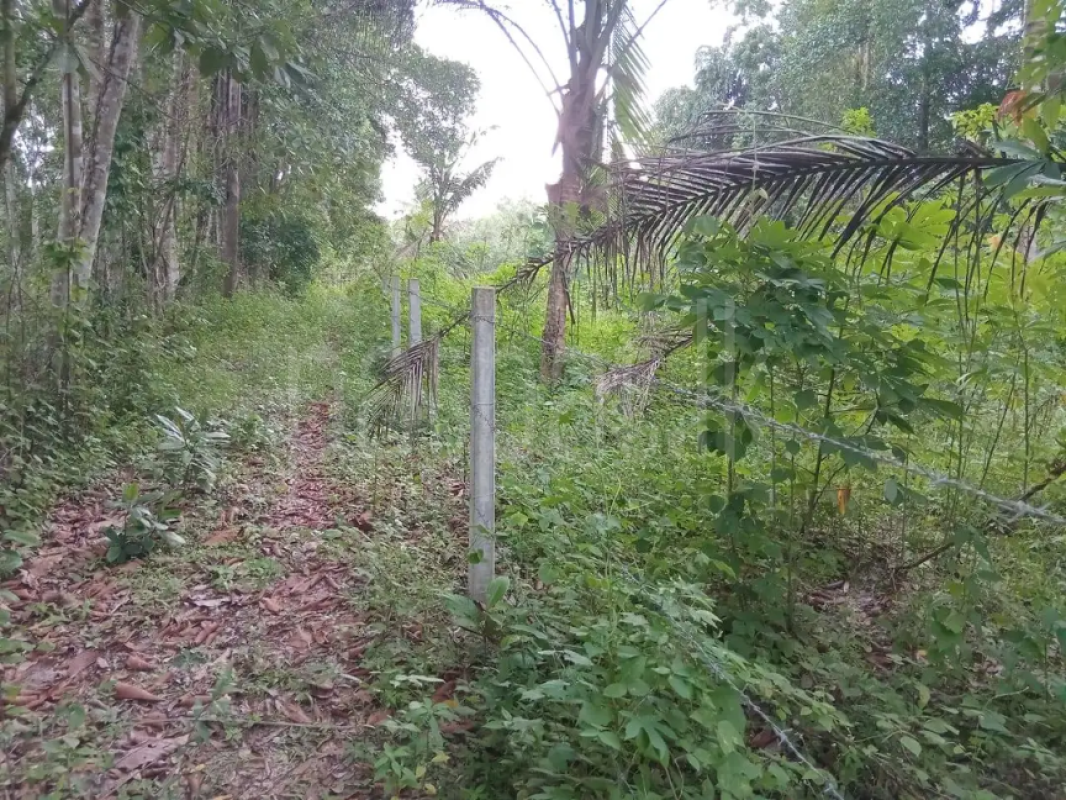 Residential Land for Sale in Divulapitiya