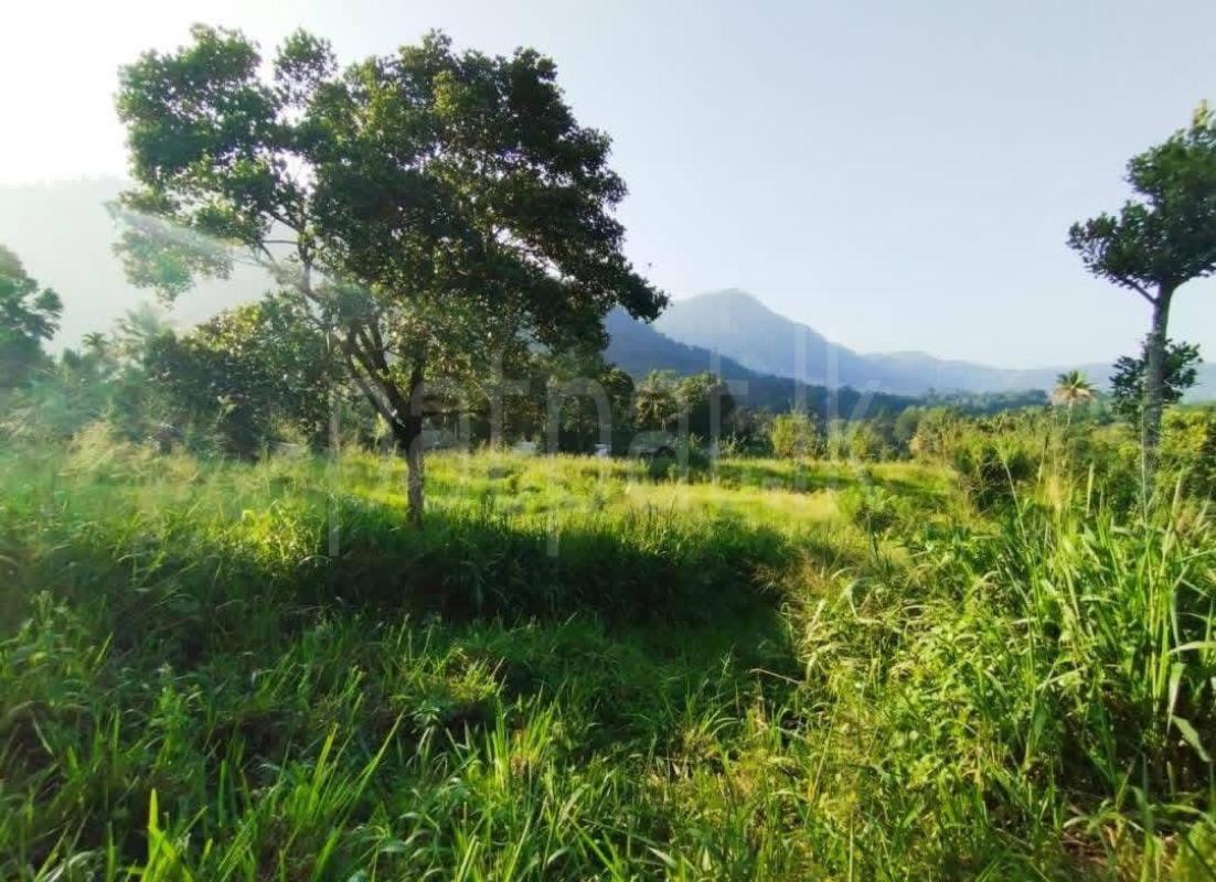 Agricultural Land for Sale in Gampola ads-image-1