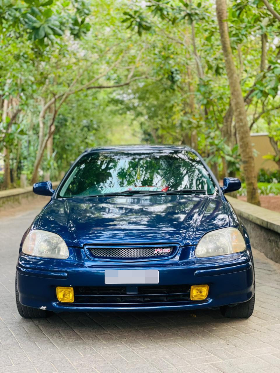 Advertisement image 4