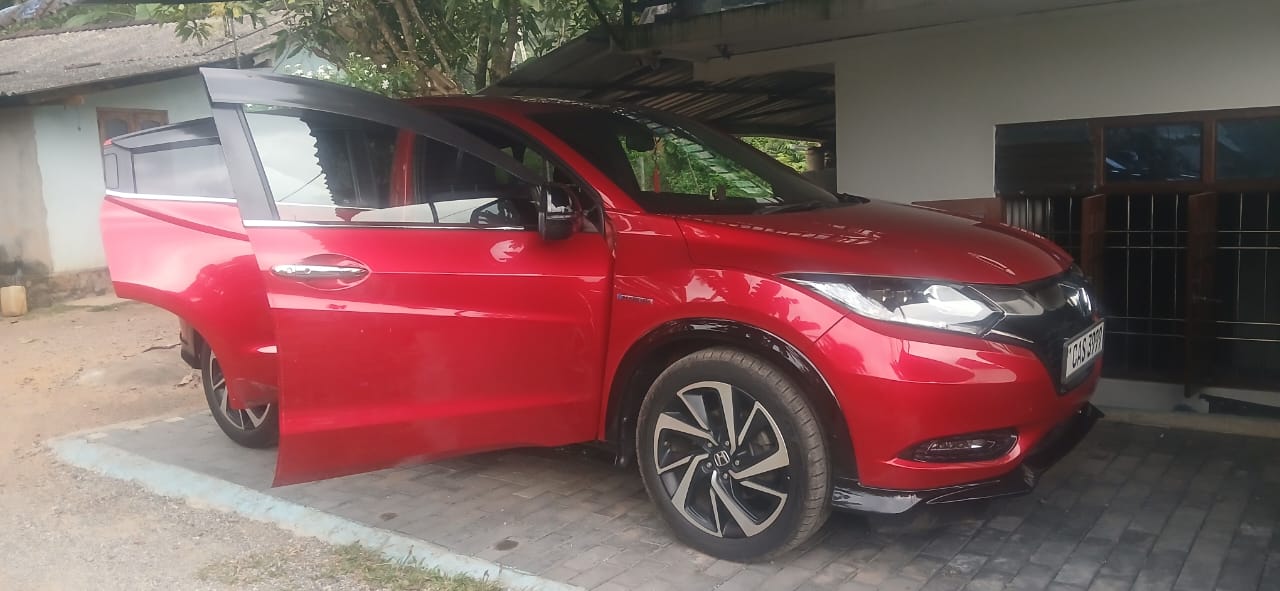 Advertisement image 4