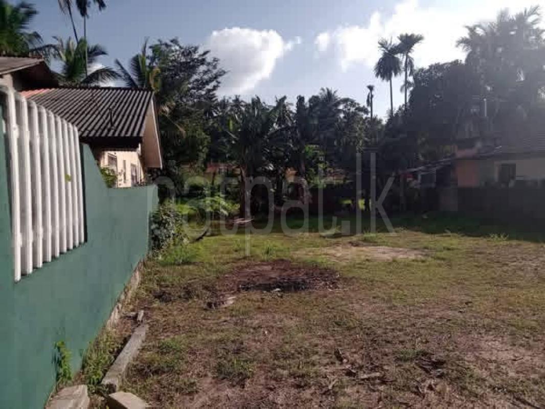 Land for Sale in Kadawatha ads-image-1