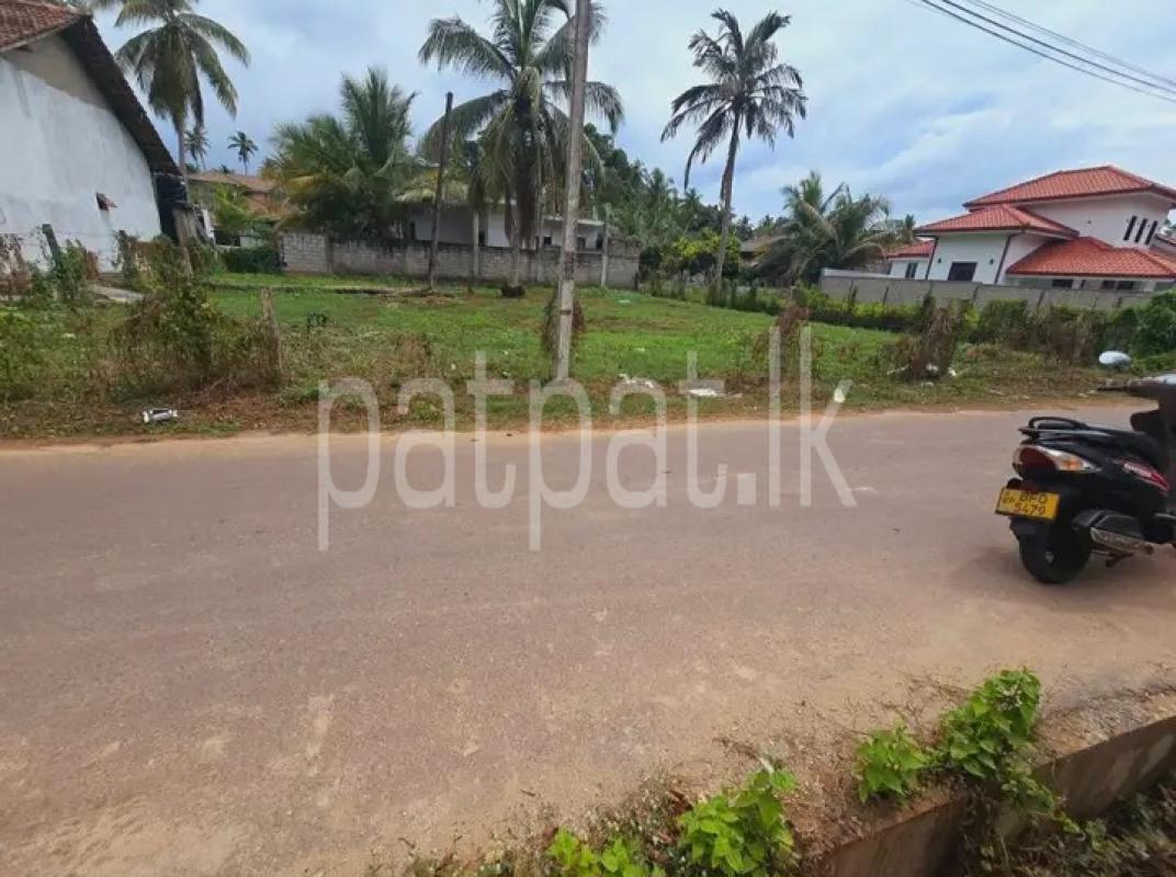 Commercial Land for Sale in Negombo ads-image-1