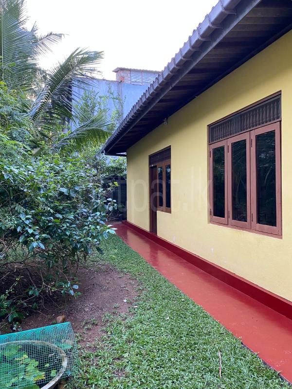 Annex for Rent in Maharagama