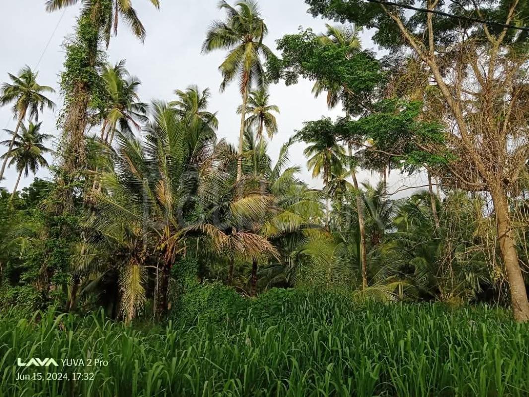 Agricultural Land for Sale in Kurunegala