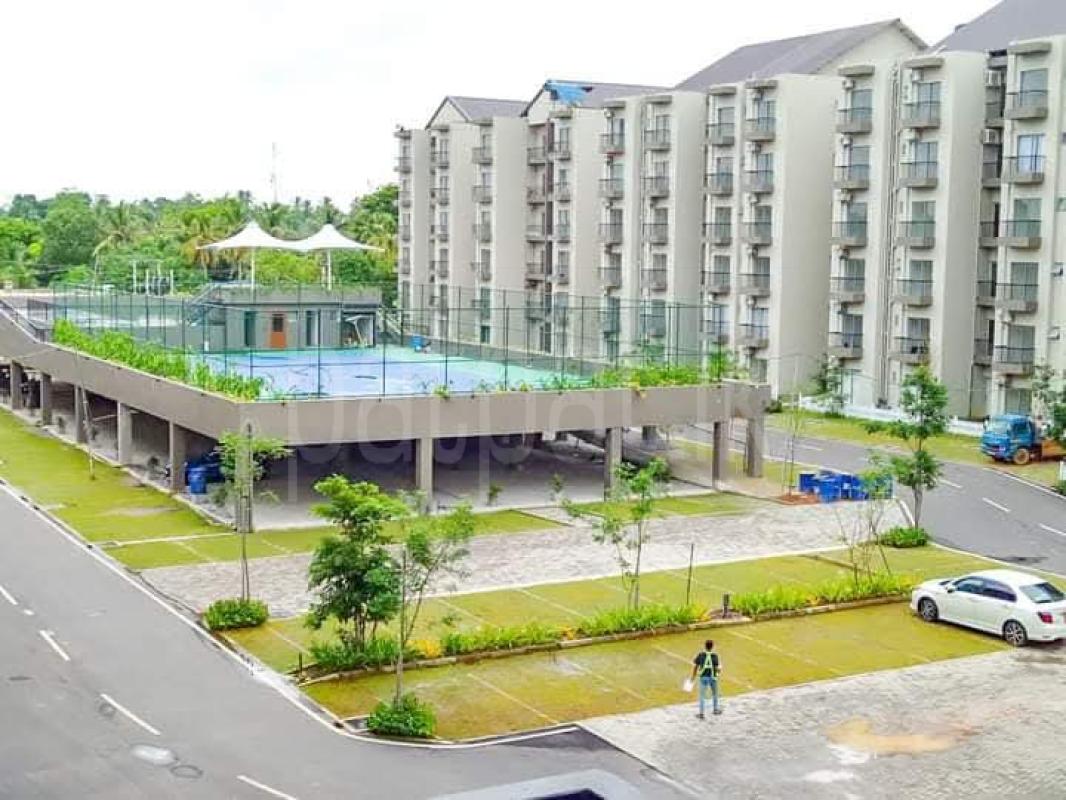 Advertisement image 2