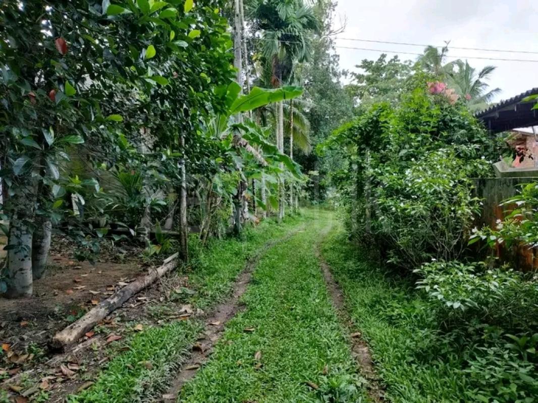 Commercial Land for Sale in Kirindiwela
