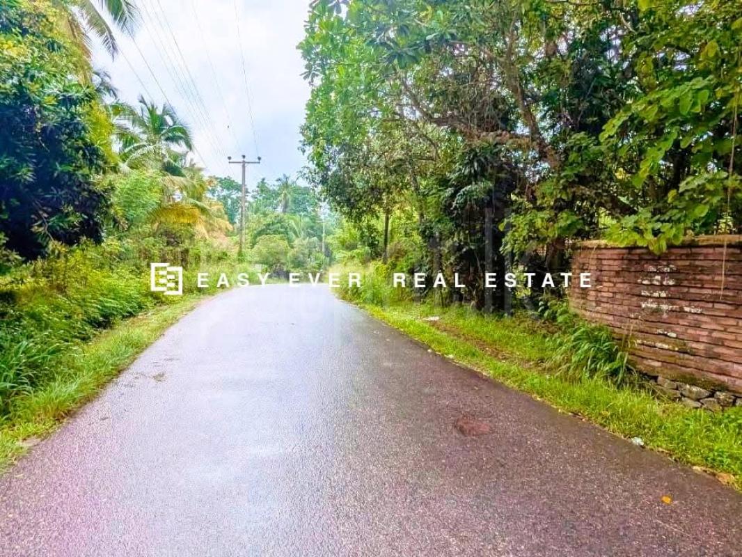 Residential Land for Sale in Ganemulla
