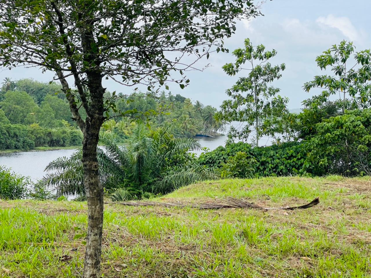 Commercial Land for Sale in Piliyandala