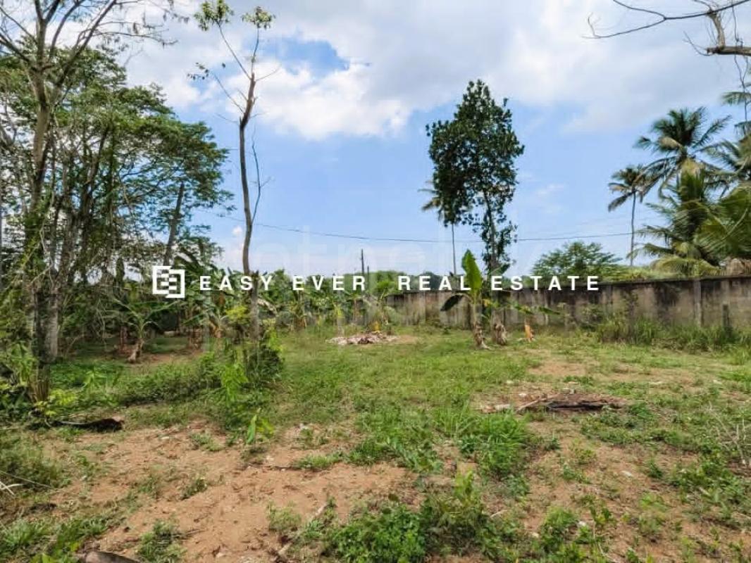 Residential Land for Sale in Gampaha