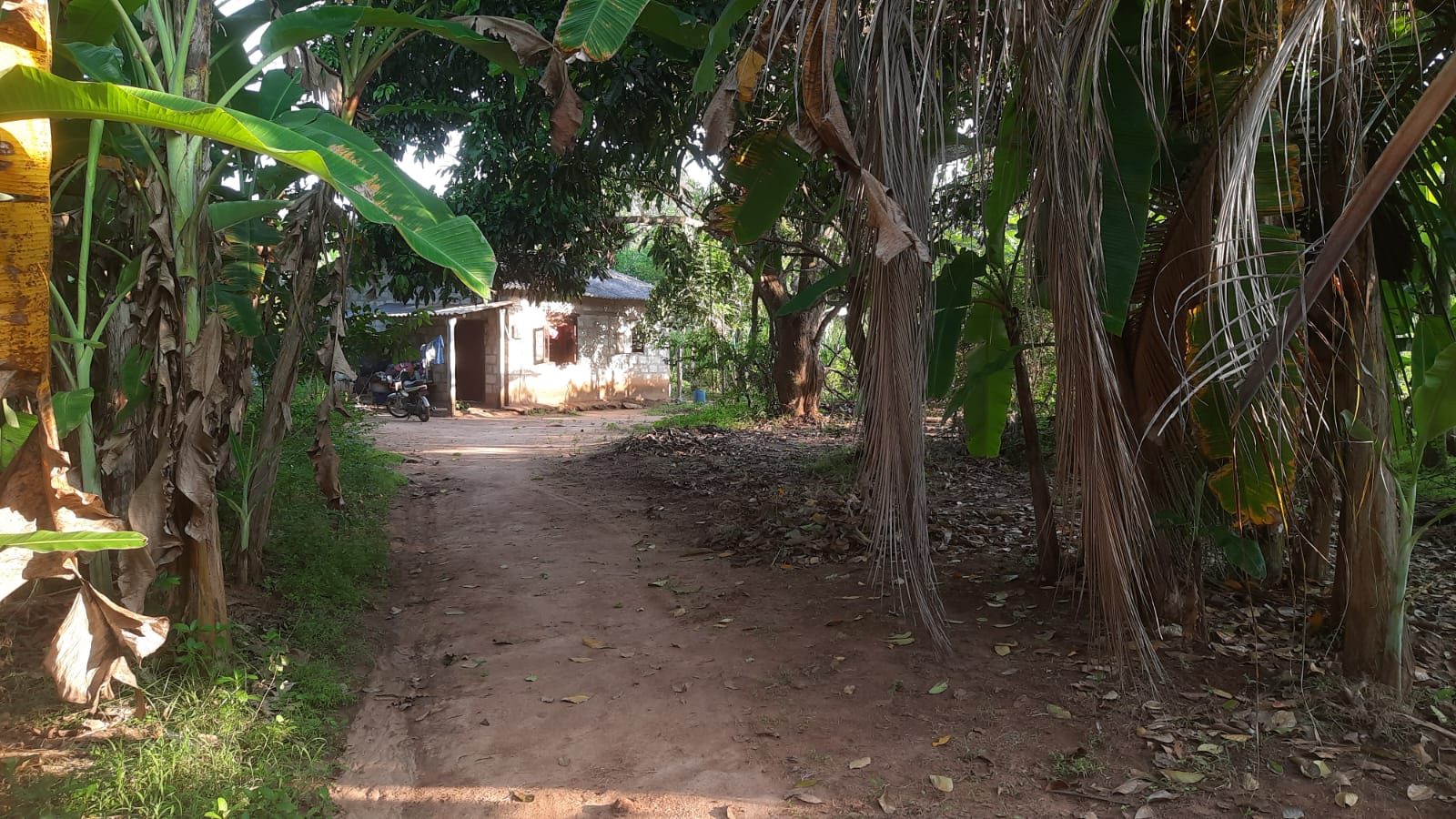 Residential Land for Sale in Anuradhapura