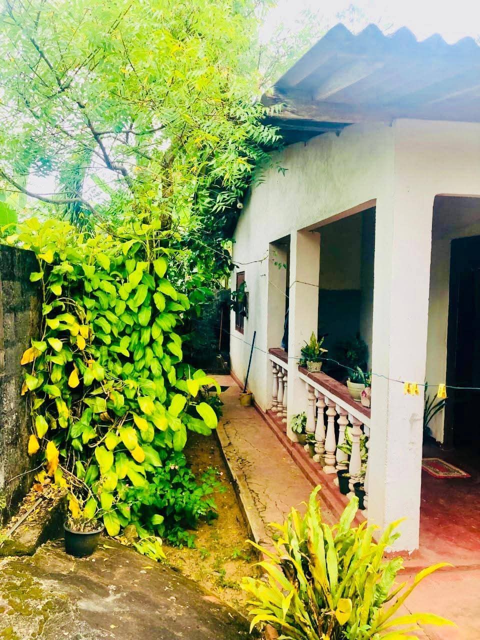 House for Sale in Gonapola Junction